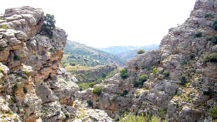 Kreta Wandern Schlucht Arvi