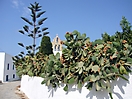 Naxos_50