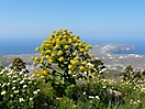 Santorin_21